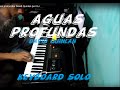 Solo Teclado águas Profundas David Quinlan Por GJ