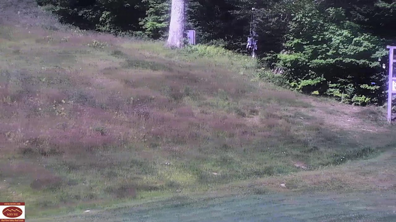 Live webcam view of Telesilla Single Chair, Mad River Glen