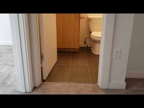 S0280 - Lombard "7" - Video 2 of 2