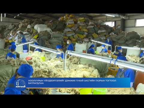 Ноолуурын үйлдвэрлэлийг дэмжих тухай Засгийн газрын тогтоол батлагдлаа