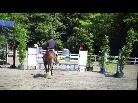 Lupor Nachwuchstalent für den gehobenen sport