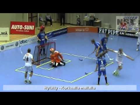 NST - SSV maalikooste 9.3.2014