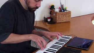 Ayreon - Day Nineteen: Disclosure (Keyboard Cover with KeyStage)