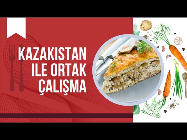 Kazakistan ile ortak çalışma