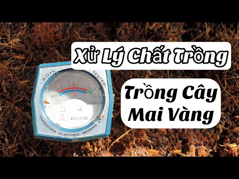 Xử Lý Đất Trước Khi Trồng Cây - 16/08 ÂL