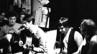 Heron - Winter Harlequin