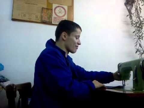 Trifoi dela dognecea 2