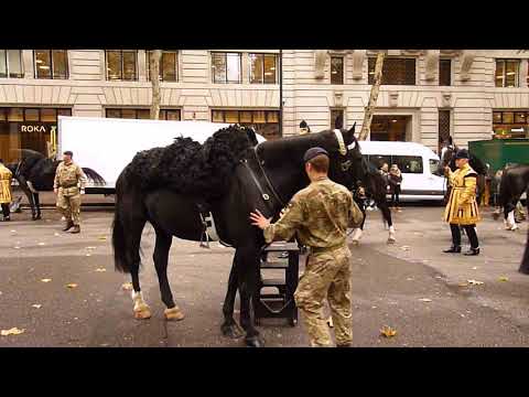 The Lord Mayor's Show  2017.Hcav