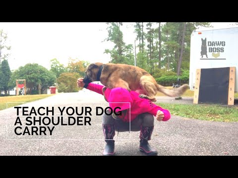 How To Teach Your Dog A Shoulder Carry