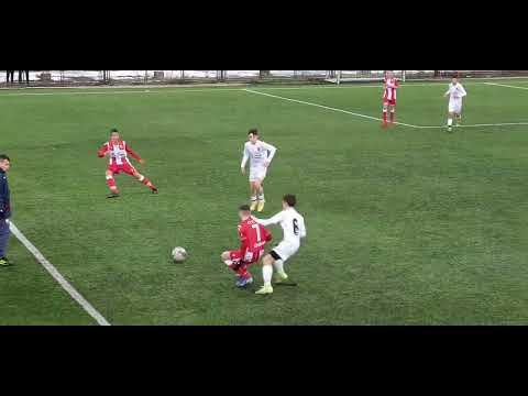 Crvena zvezda 2008. - Honved 2008. 1:1 (0:0), prijateljska utakmica