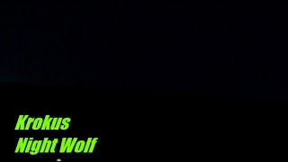 Krokus: Night Wolf