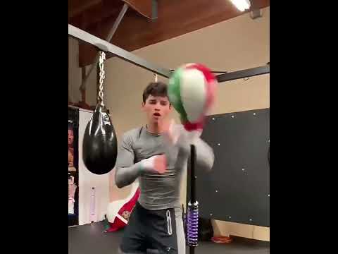 ~子甄彣璟~勇士之魂 升級款 立式拳擊靶 反應靶 沙包 速度球 拳擊 運動 拳擊靶 拳擊球 反彈球 拳擊沙包 反彈球