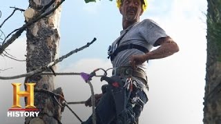 Ax Men: Meet David Zitterkopf | History