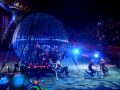 Circus