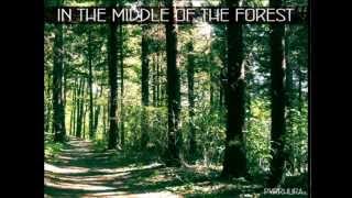 Pyrrhura - Hidden Road