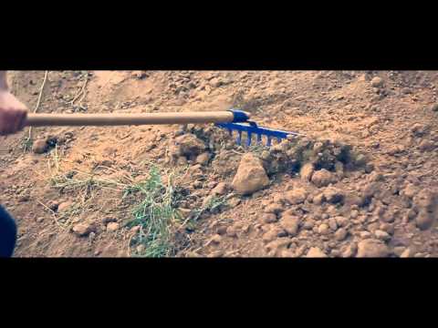 leingarten bau video anfang test