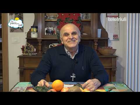 Un pinsîr par vuê - 05 Gennaio 2023