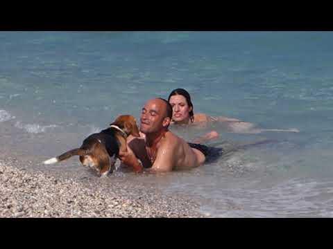 All Inclusive или как осиротело небо