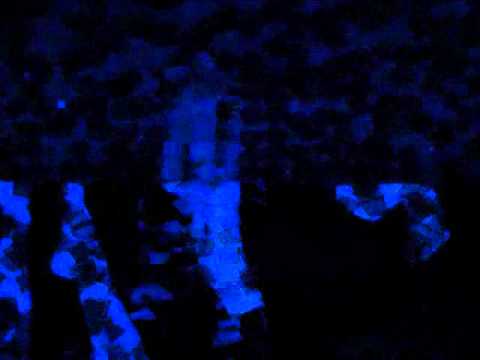 Apple Bottom Jeans-Music Video