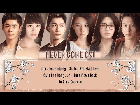 [Eng/Pinyin/Full Album] Never Gone 2018 OST Playlist with LYRICS | 原来你还在这里 电视原声大碟 歌词