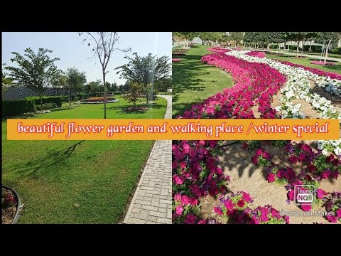 Beautiful Flower Garden / Winter Special / Walking Place in Doha / Flower Collections / Tamil Vlog