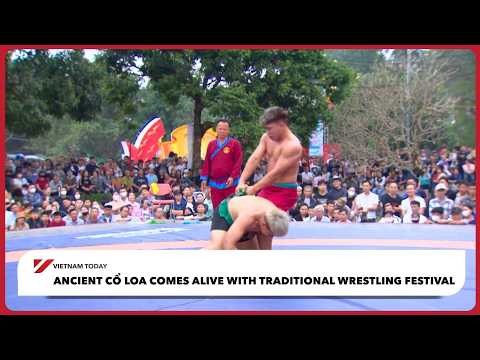 古螺城重現傳統摔角節！ | 越南今日報 (Ancient Cổ Loa comes alive with traditional wrestling festival | Vietnam Today)