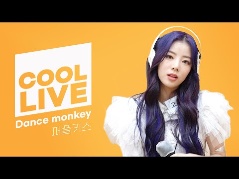 쿨룩 LIVE ▷퍼플키스 ‘Dance monkey' [원곡: TONES AND I] /[DAY6의 키스 더 라디오] ㅣ KBS 210326 방송