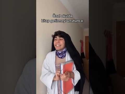 Özel okul - Devlet okulu