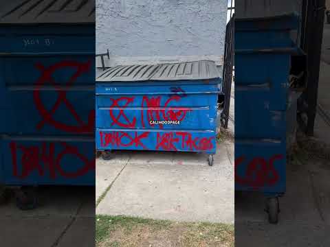 Crenshaw Mafia Gangster Bloods