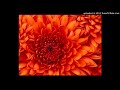 Intermission Honesty Groove Mix