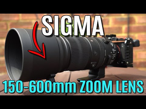Sigma 150-600mm DG DN Sports: Real world photoshoots (747965)