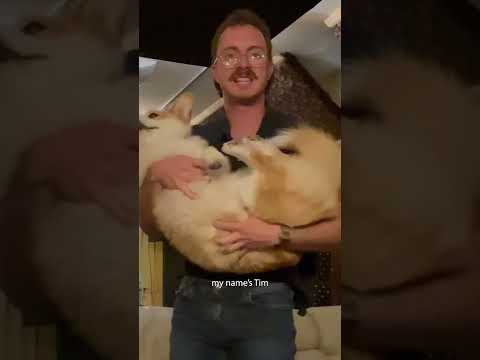 Video thumbnail for Party Dog