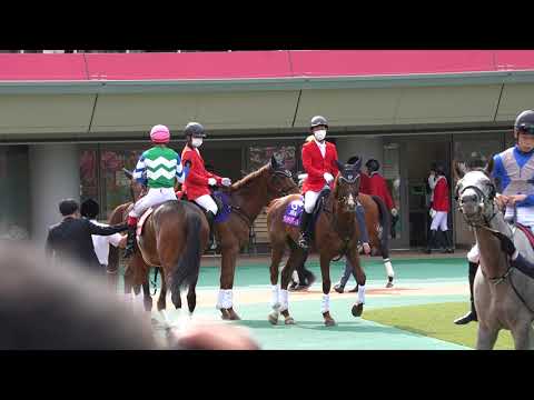 【池添謙一】暴れん坊将軍メイケイエール【いざブリーダーズカップ】