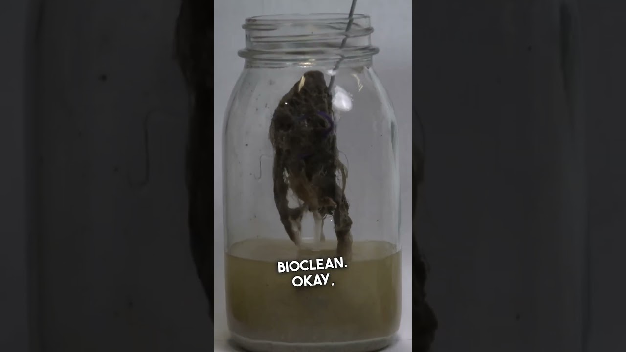 Testing Drain Cleaners