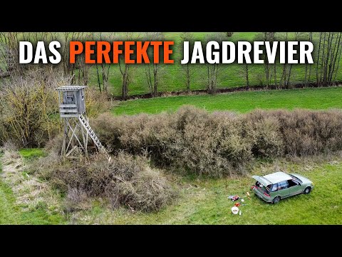 REVIERPFLEGE: Vorbereitung des Jagdgebietes für maximalen Jagderfolg | JAGD TOTAL