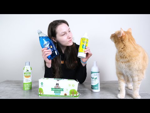 Top 5 Best Cat Shampoos (We Tried Them)