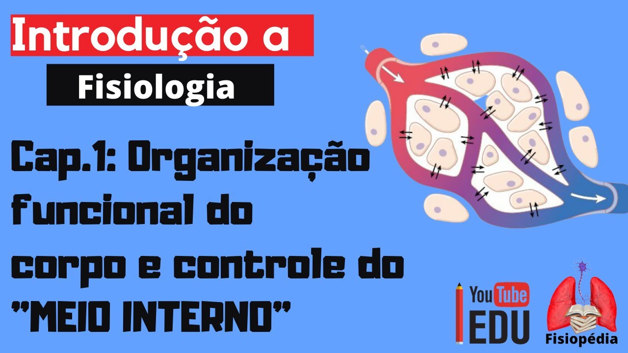 Cap.1: Organização funcional do corpo humano e controle do "MEIO INTERNO"