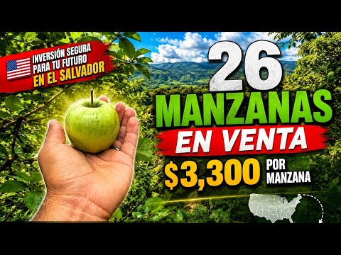 Cachasa se vende 26 manzanas a 3,300 manznas en cantonnel rosario dulce nonbre de maria chalatenango
