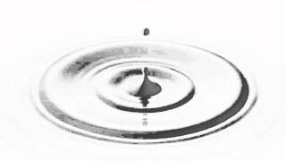 Magnet - Sister Sorrow