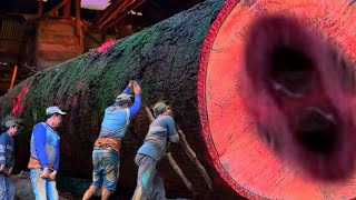 Download lagu MYSTERIOUS RARE WOOD! This Find Only Appears Once Every Hundred Years at sawmill mp3