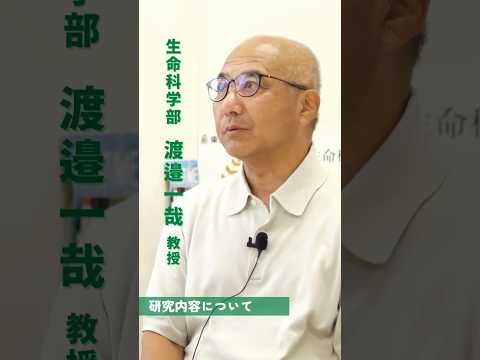 生命医科学科 【教員にインタビュー！】＃02 渡邉教授 ダイジェスト