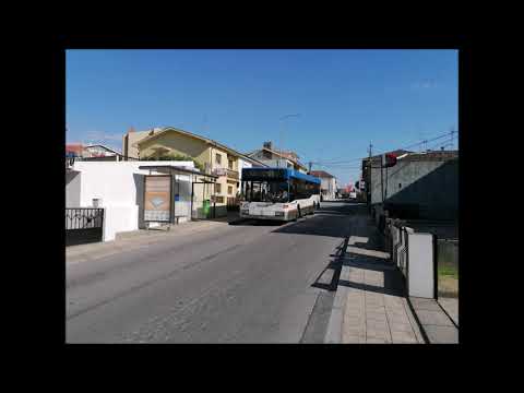 1740 STCP - 706 (audio recording)