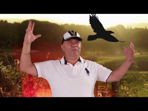 Nicolae Guta  - Am o viata n-am o suta