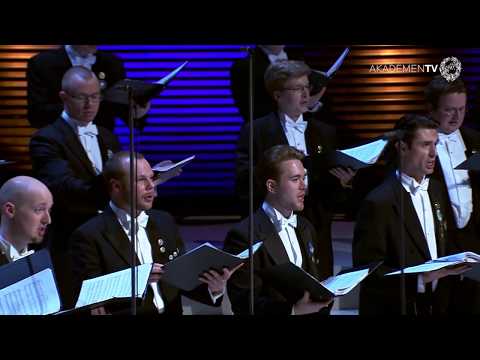 Akademen – Takach: Things I Didn’t Know I Loved (20/4/2013)