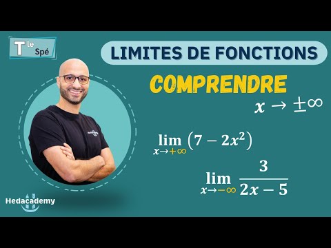 UNDERSTANDING FUNCTION LIMITS - Term Spé