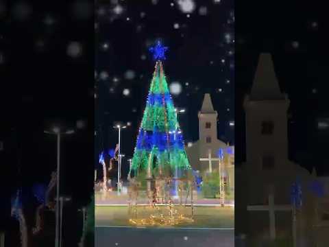 ✨🎄 Acender das Luzes de Natal em Lagoa Alegre! #shorts #shortvideo #brasil #piauí
