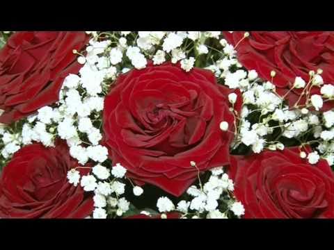 Madalin si Oana - Videoclip nunta(nunta ploiesti)