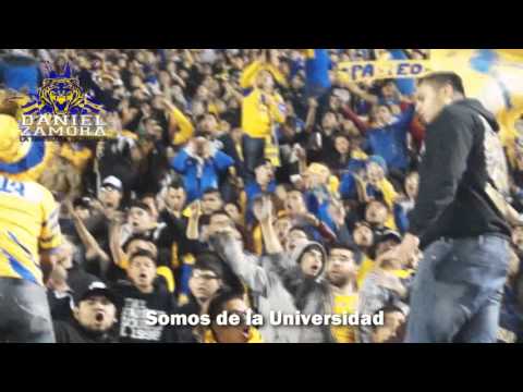 "Somos del Barrio de San Nico, Nivel de cancha, Semifinales Ap 2015" Barra: Libres y Lokos • Club: Tigres