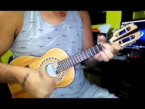 Debaixo do meu chapeu - Zeca Pagodinho