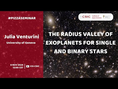 Julia Venturini - The radius valley of exoplanets for single and binary stars
